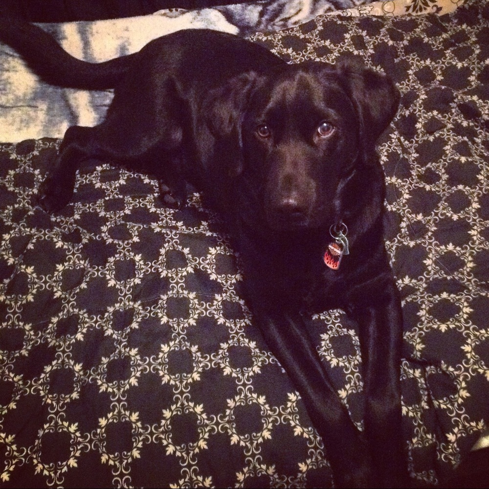 Meet your Posher, Mary rose